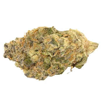WAGNERS - Tiki Rain 3.5G / - Tiki Rain 3.5g Dried Flower